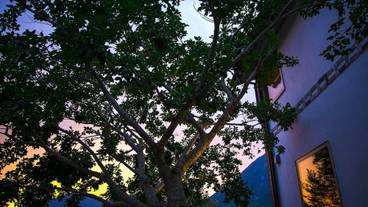 施設からの眺望 / 12