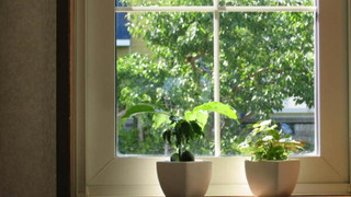 エコノミー ツインルーム 禁煙 冷蔵庫 (シングルベッド2台もしくはキングベッド1台)