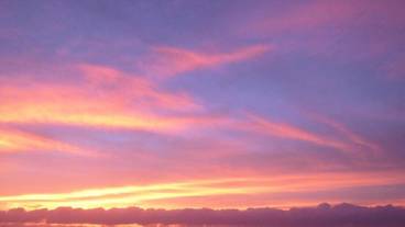 ビーチ / オーシャン ビュー / 37