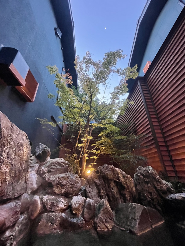 露天風呂も高温泉は出ませんでした。