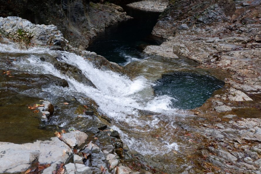 chirijyoさんの写真 / 1