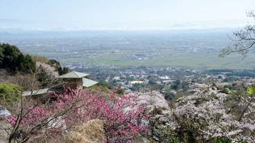 施設からの眺望 / 19