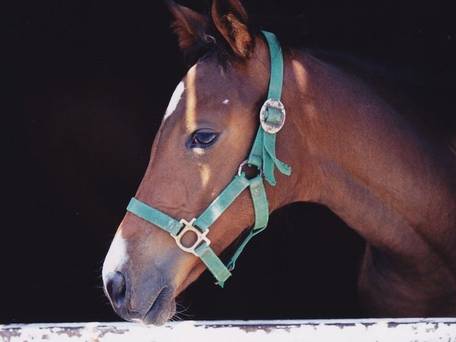 ホテル アネックス イン / 5