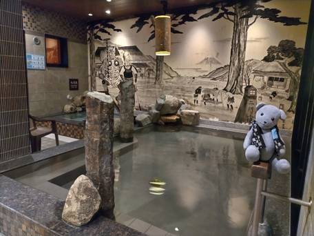 天然温泉 つつじの湯 ドーミーインEXPRESS豊橋 / 4