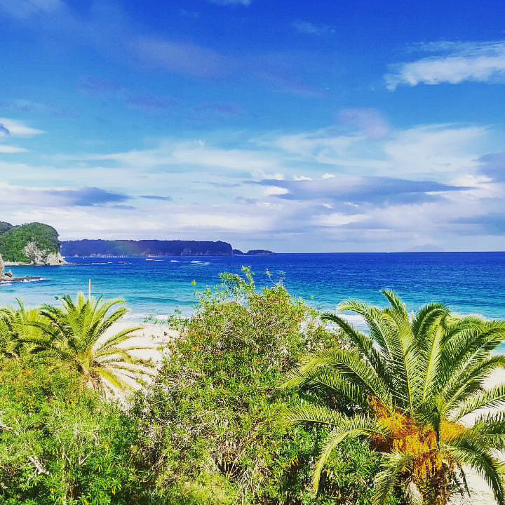 croissantdelune11さんの写真 / 1