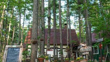 施設の敷地 / 10