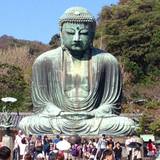 高徳院(鎌倉大仏)（コウトクイン（カマクラダイブツ））