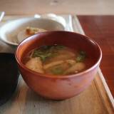 ume yamazoe（ウメ）