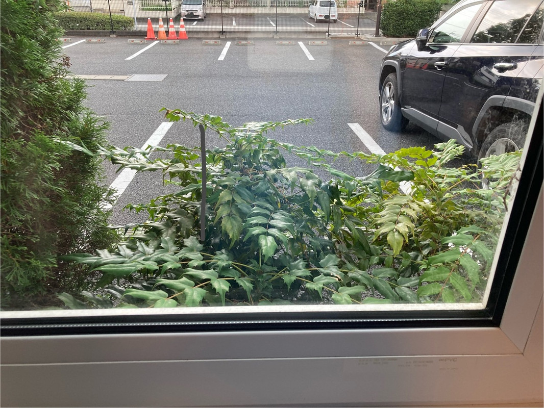 1階の客室の窓の外