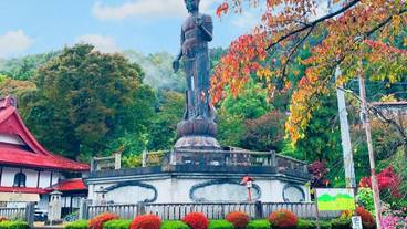 ランド ビュー / 14