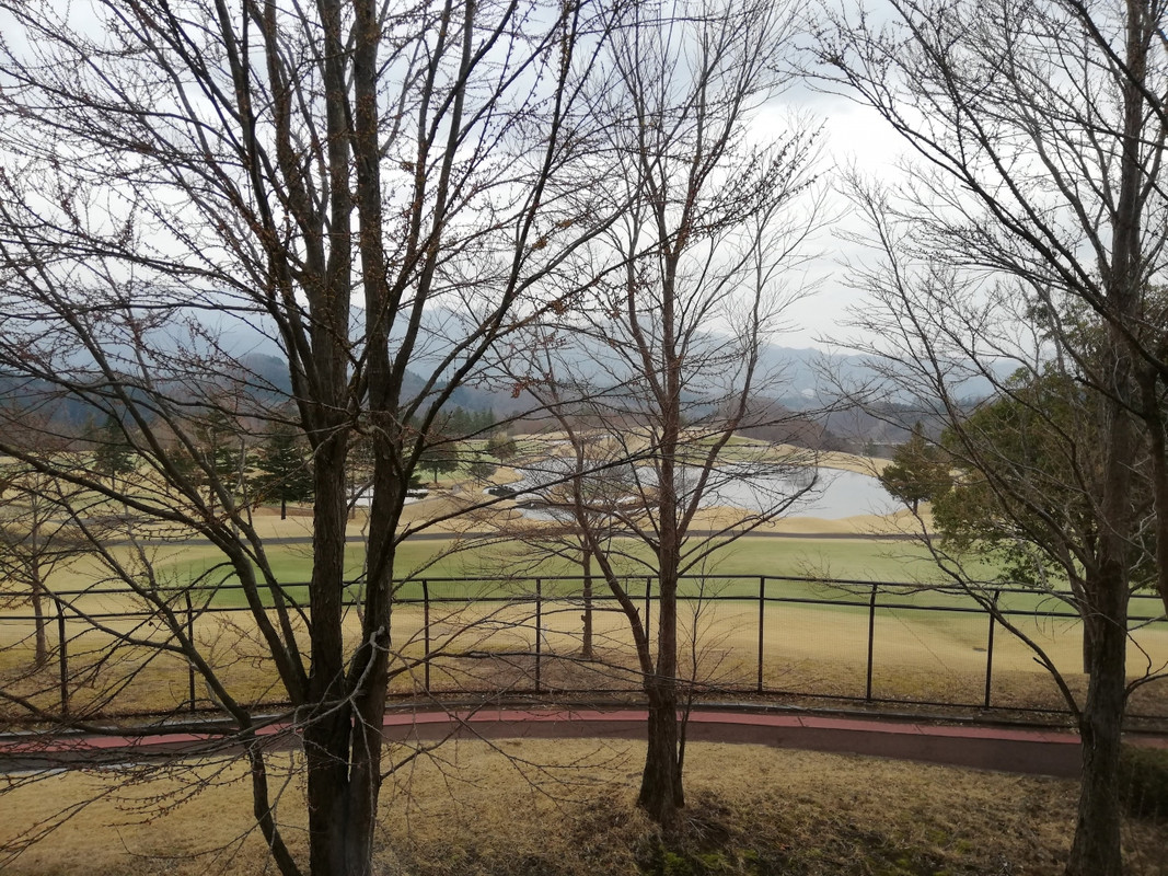 部屋から見るゴルフ場