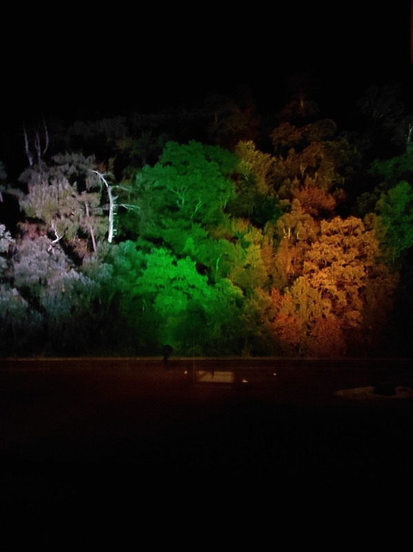 部屋からライトアップが見れました