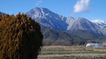 施設からの眺望 / 7