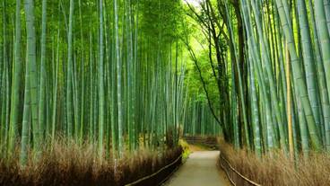 観光スポット / 21