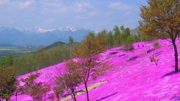 施設からの眺望 / 16