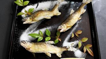 ビュッフェ / 15