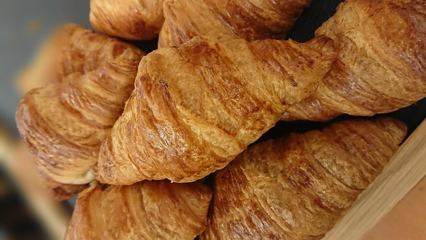 伊東温泉　ウェルネスの森　伊東（イトウオンセン　ウェルネスノモリ　イトウ） / 7