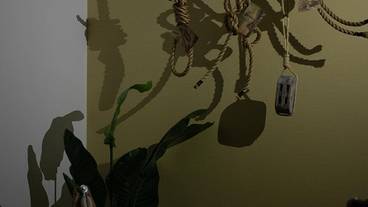 内装の詳細 / 33