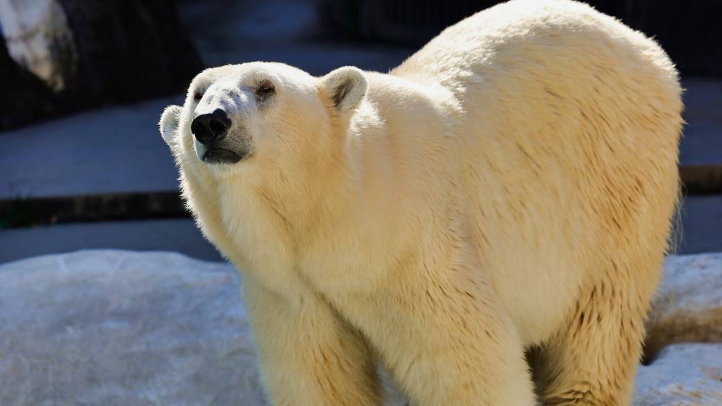 「恩賜上野動物園」で
ほっこり家族の時間 / 3