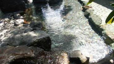 天然プール / 15