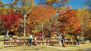 観光スポット / 3