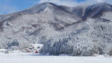 観光スポット / 13