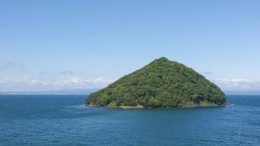 ビーチ / オーシャン ビュー / 18