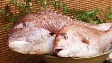 朝食ビュッフェ / 25