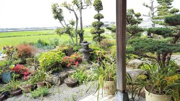 施設からの眺望 / 9