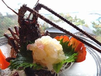 オーシャンビュー&新鮮な海の幸で、心もお腹も満たされる♪3521074