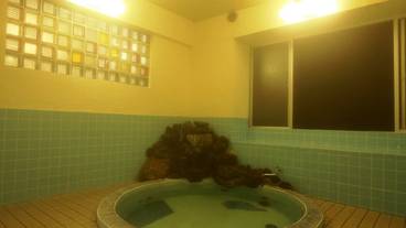 屋内スパ浴槽 / 1