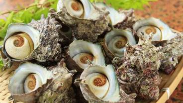 食事・飲み物 / 1