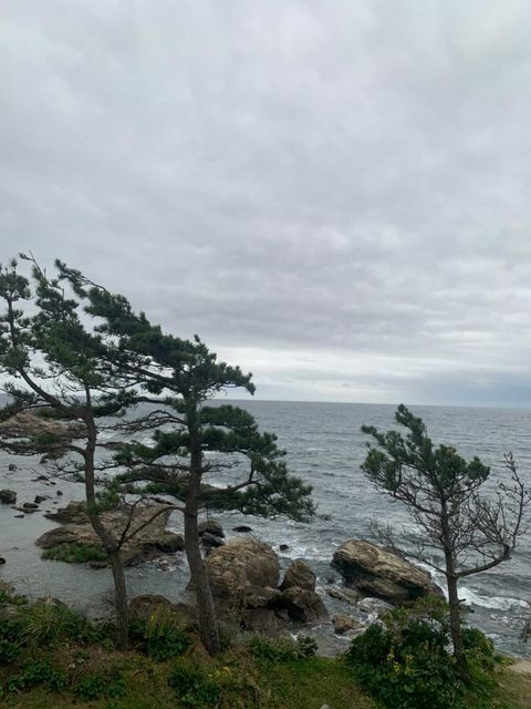 iamayak_28さんの写真 / 1