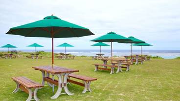 バーベキュー / ピクニック エリア / 29