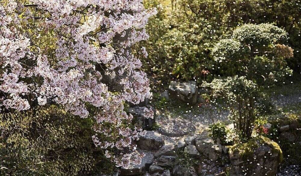 日本庭園② / 2