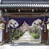 Jonni’s Place（滋賀県 ゲストハウス・ホステル・ドミトリー） / 3