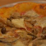 ニュールーシー（ニユールーシー）