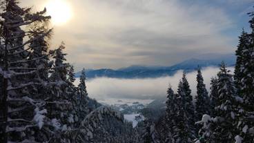 シティ ビュー / 35