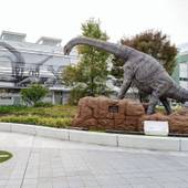 ホテルエコノ福井駅前(福井県 ビジネスホテル) / 4