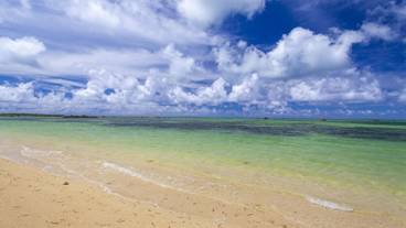 観光スポット / 12