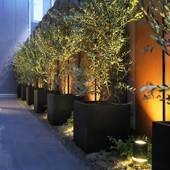 仙台ワシントンホテル（宮城県 ビジネスホテル） / 4