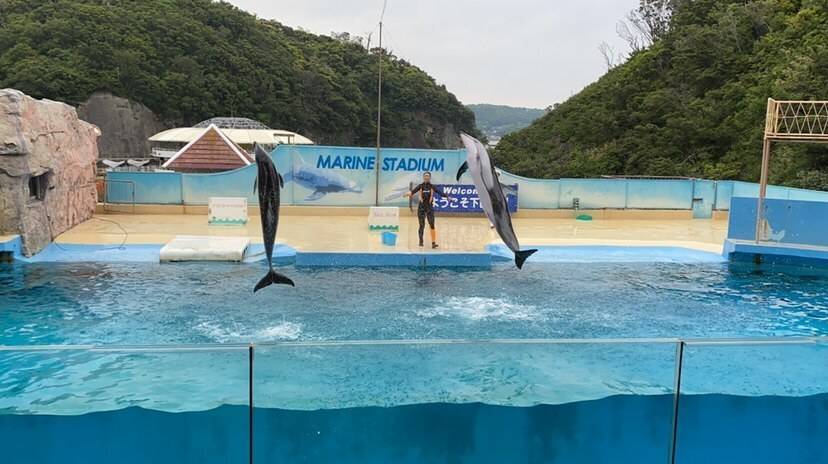 下田へ到着したら
「下田海中水族館」へ / 3
