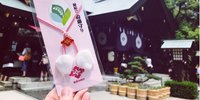 【東京・千代田区】自転車でパワースポット巡り♪運気アップを祈願できる神社5選