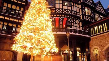 観光スポット / 17