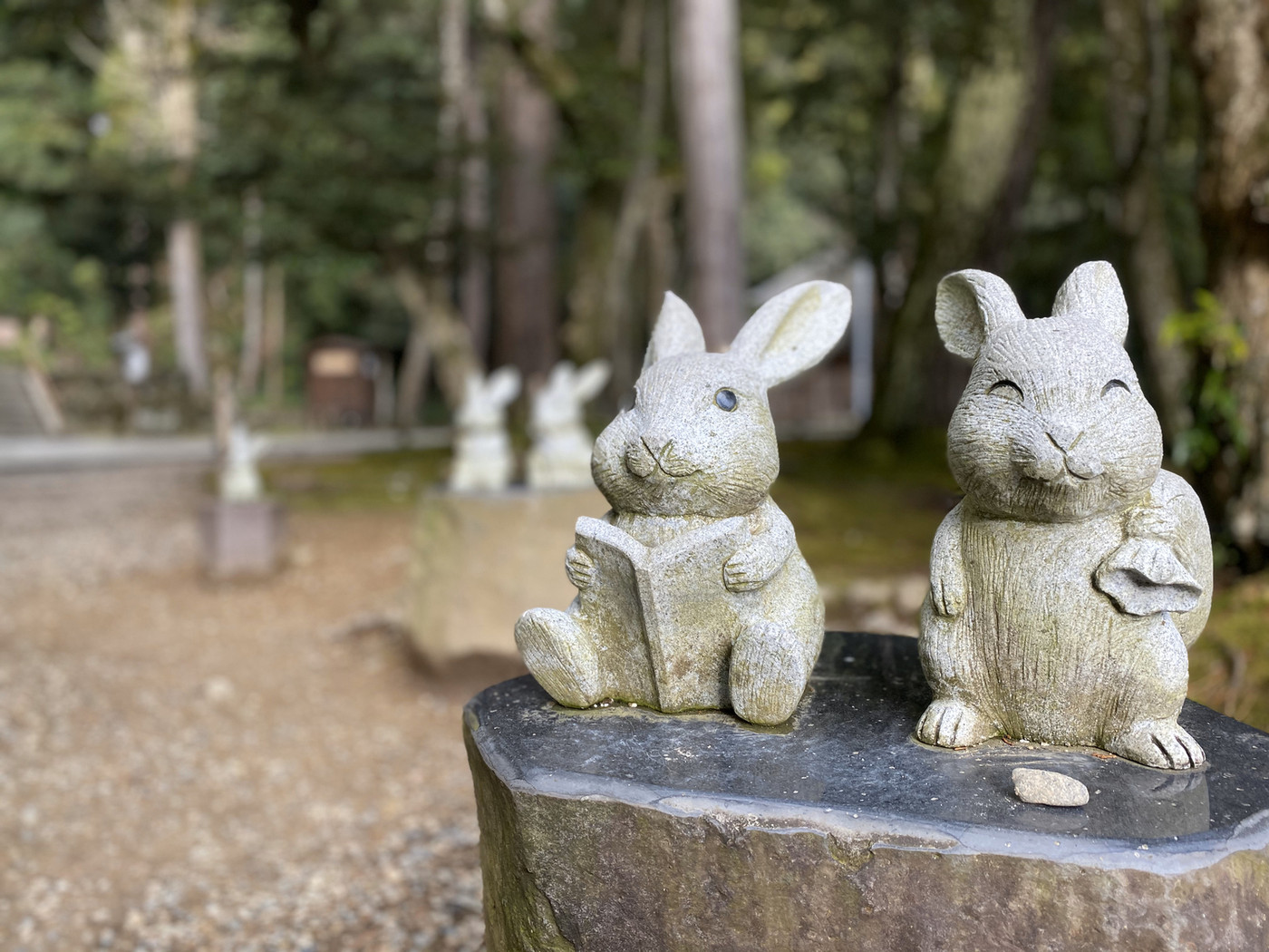 何を読んでいるのでしょう