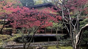 施設の敷地 / 11