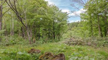 施設の敷地 / 10