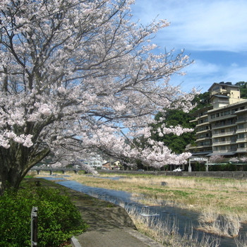 癒し空間、回遊式大庭園風呂を満喫4022859