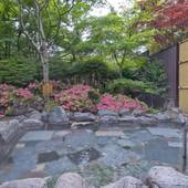 奥の院 ほてる とく川(栃木県 旅館) / 5