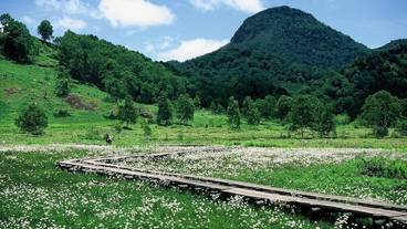 マウンテン ビュー / 31